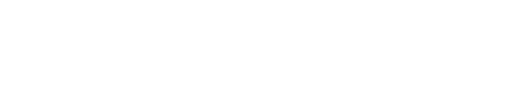CeiProtect Logo Blanc