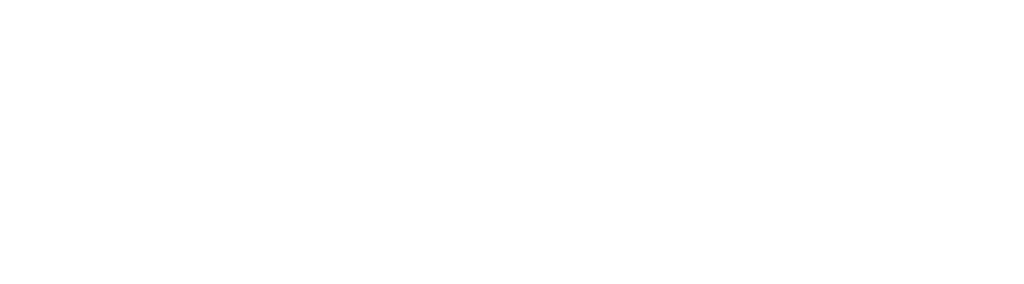 CeiSolutions Logo Blanc